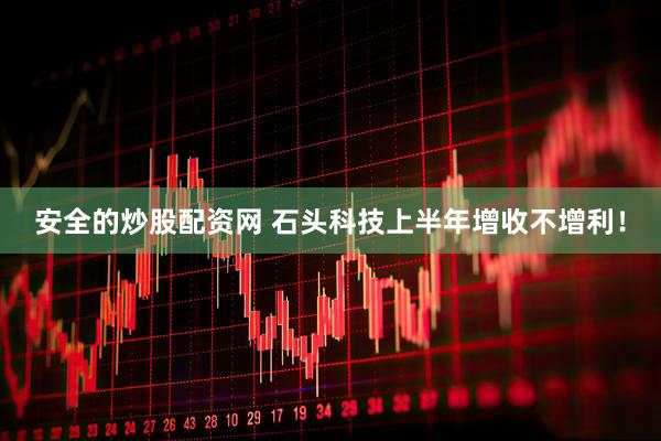 安全的炒股配资网 石头科技上半年增收不增利！