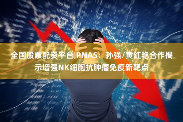 全国股票配资平台 PNAS：孙强/黄红艳合作揭示增强NK细胞抗肿瘤免疫新靶点